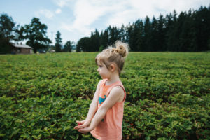 Strawberry-Picking-Toddler-Hillsboro-Oregon-Meg-Ross-Photography