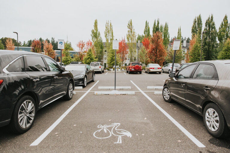 Labor and Delivery parking spot with a stork painted on the ground at Kaiser Westside Hospital in Hillsboro Oregon