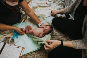 Unfurling Birth midwives perform a newborn exam on the floor post home birth in Portland Oregon